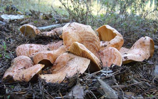 MM10 2016 01 Fotografía